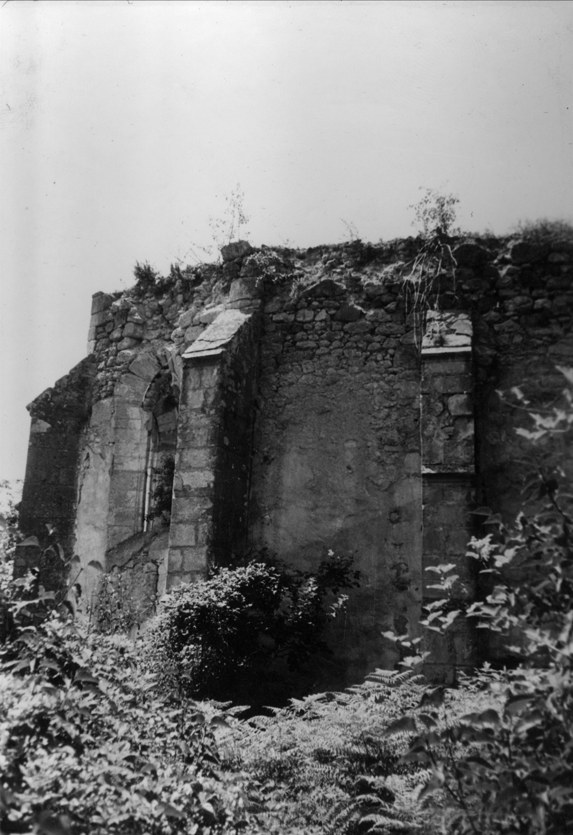 Image description